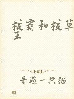 校霸和校草双男主