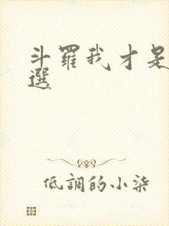 斗罗我才是双神选