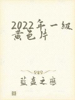 2022年一级黄色片封面