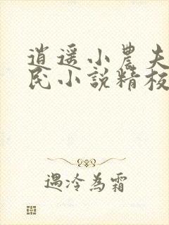 逍遥小农夫小农民小说精校版阅读