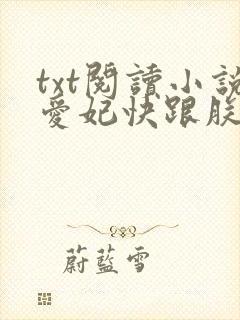 txt阅读小说爱妃快跟朕回家