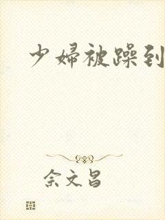 少妇被躁到高潮