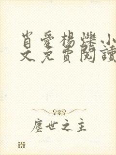 肖爱杨烁小说全文免费阅读最新章节