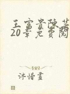 王富贵陈芸小说20章免费阅读封面