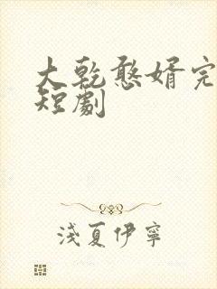 大乾憨婿完整版短剧