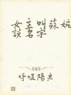 女主叫苏婉的小说名字