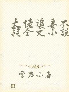 大佬追妻不择手段全文小说阅读全文