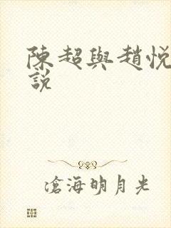 陈超与赵悦的小说封面