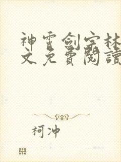 神霄剑宗林枫全文免费阅读