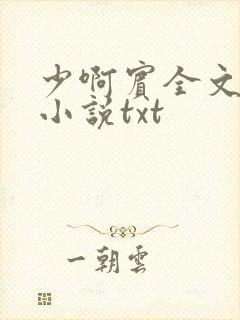 少啊宾全文阅读小说txt