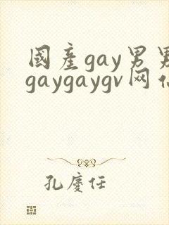 国产gay男男gaygaygv网站封面