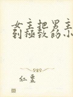 女主把男主囚禁到极致的小说