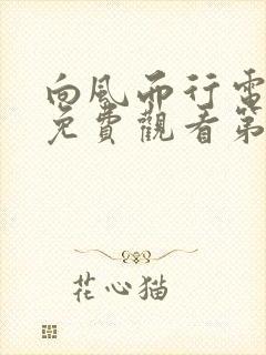 向风而行电视剧免费观看第6集封面