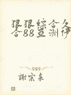 狠狠综合久久综合88亚洲伊人封面