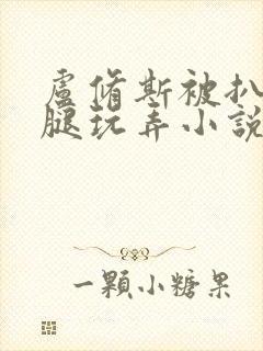 卢修斯被扒开双腿玩弄小说内容封面