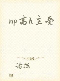 np高h主受