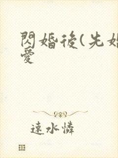闪婚后(先婚后爱