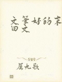 文笔好的末世种田文封面