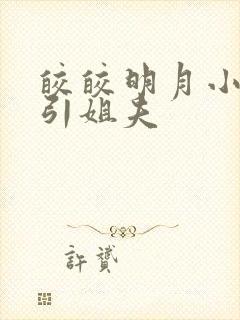 皎皎明月小说勾引姐夫