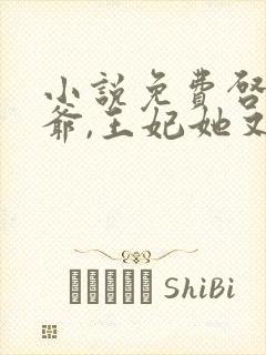小说免费启禀王爷,王妃她又穷疯了封面