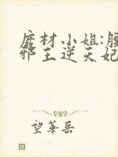 废材小姐:腹黑邪王逆天妃 叶轻轻