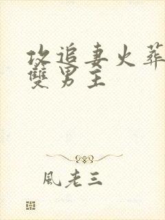 攻追妻火葬场的双男主