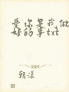 爱你是我做过最好的事txt封面