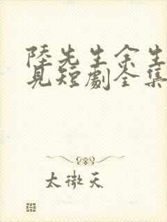 陆先生余生不再见短剧全集免费观看