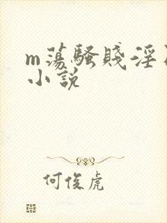 m荡骚贱淫日记小说封面