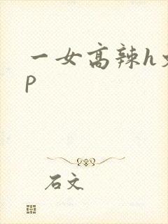 一女高辣h文np封面
