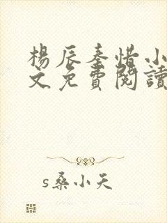 杨辰秦惜小说全文免费阅读最新章节