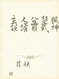 主人公楚枫的小说修罗武神