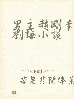 男主赵刚李晓雅刘梅小说封面