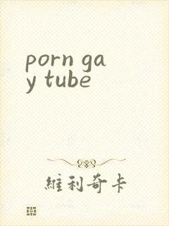 porn gay tube封面