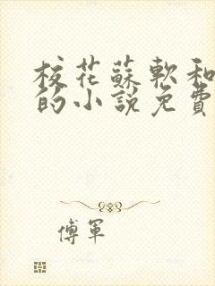 校花苏软和沈越的小说免费阅读