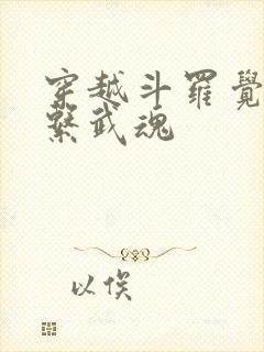 穿越斗罗觉醒冰系武魂封面