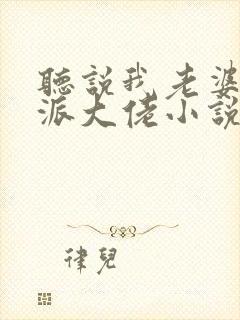 听说我老婆是反派大佬小说