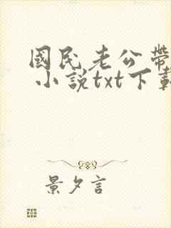 国民老公带回家 小说txt下载