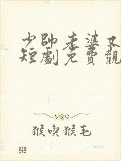 少帅老婆又跑了短剧免费观看高清