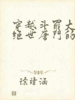 穿越斗罗大陆2绝世唐门的小说