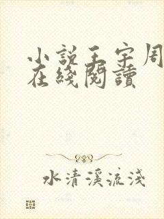 小说王宇周美琴在线阅读