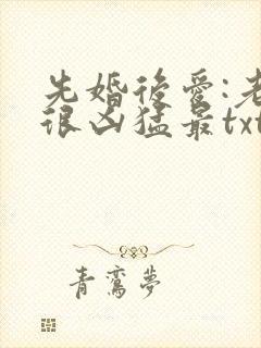 先婚后爱:老公很凶猛最txt下载