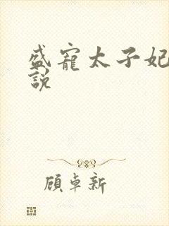 盛宠太子妃 小说