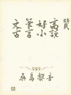 文笔好高质量的古言小说