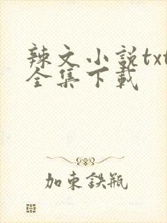 辣文小说txt全集下载