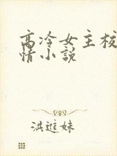 高冷女主校园言情小说封面