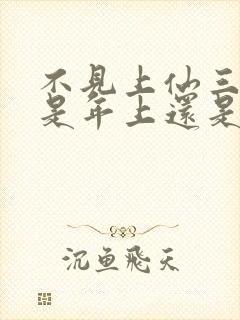 不见上仙三百年是年上还是年下