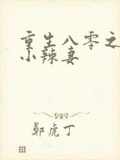 重生八零之致富小辣妻