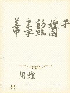 善良的嫂子伦理中字韩国封面