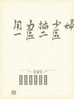 用力插少妇久久一区二区